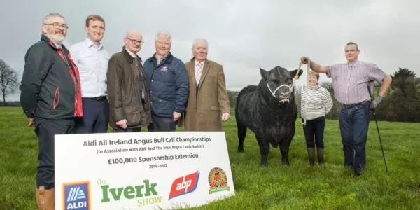 Aldi Extends Sponsorship Of Angus All Ireland Bull Calf Championships