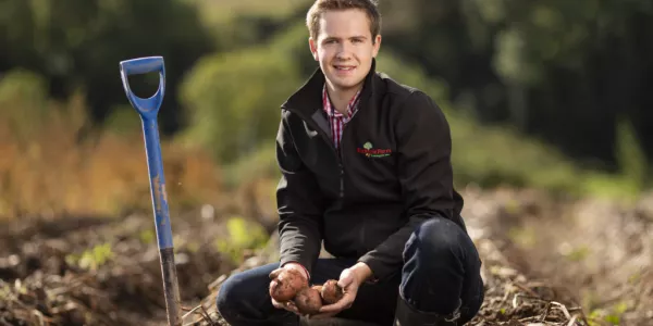 Bord Bia Encourages Generation Z To Share Potato Recipes On Instagram