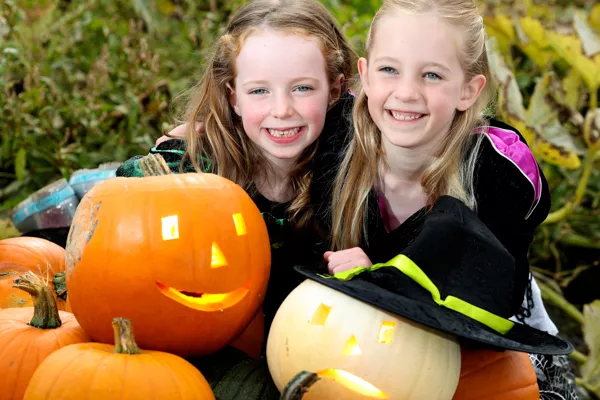 SuperValu Plans To Sell White 'Ghost' Pumpkins This Halloween