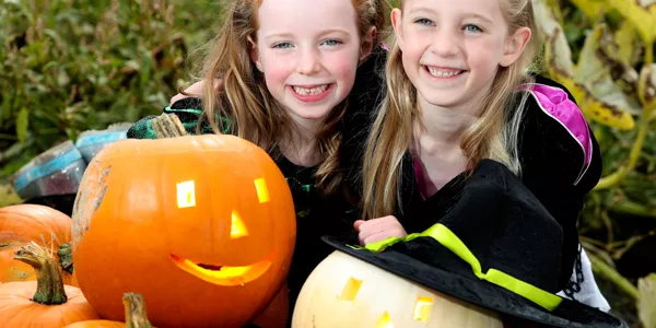 SuperValu Plans To Sell White 'Ghost' Pumpkins This Halloween
