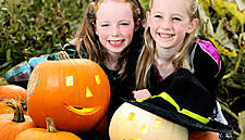 SuperValu Plans To Sell White 'Ghost' Pumpkins This Halloween