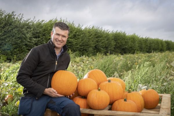 Dublin Pumpkin Grower Seals €150,000 Contract With Aldi
