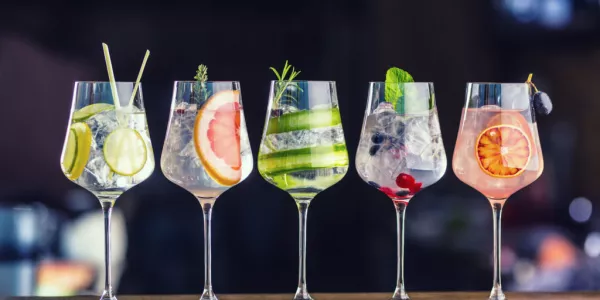 FSAI Publishes New Guidance For Gin Marketing