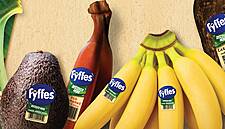 Fyffes Set To Unveil Its New Red Banana At Spanish Fruit Show