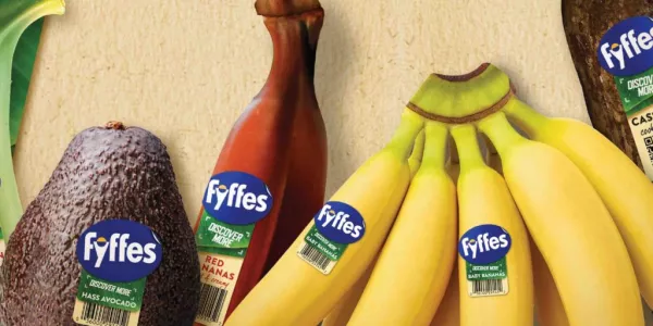 Fyffes Set To Unveil Its New Red Banana At Spanish Fruit Show