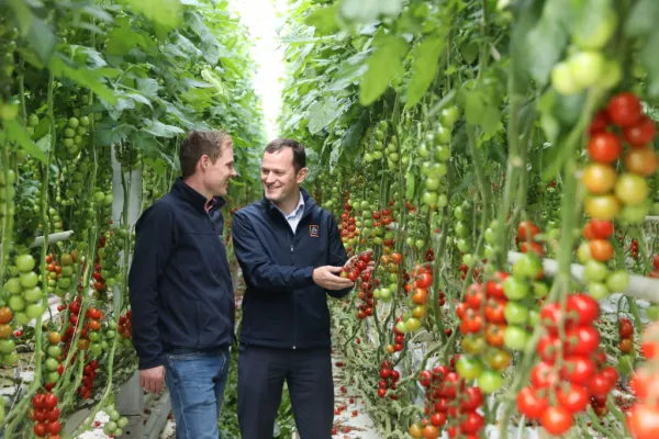 Flynn’s Tomatoes Renews Contract With Aldi In €14m Deal