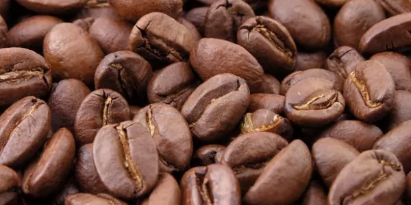 Colombia Launches Plan To Guarantee Sustainable Coffee Production