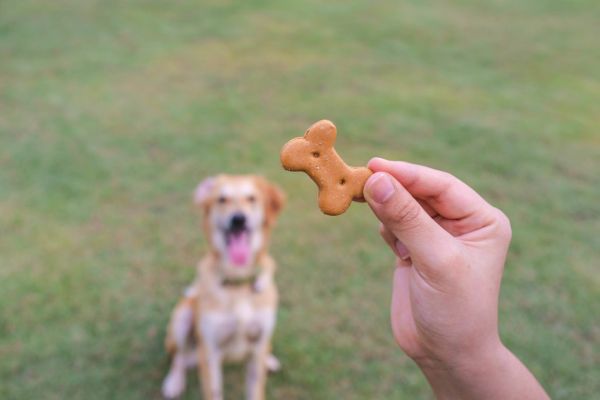 Pet Snack Maker Rondo Foods To Close Arklow Site With 150 Jobs Loss