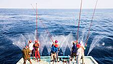 Waitrose Marks 10 Years Of Sustainable Tuna In Own-Brand Products