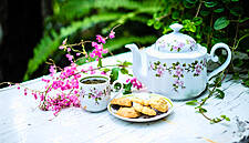 The Coeliac Society To Host 'World’s Largest Ever' Gluten Free Internet Tea Party