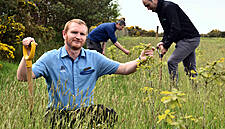 Aldi Plants 15,000 Native Trees Along The ‘Kerry Way’