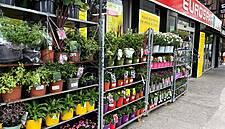 BWG Sees Spike In Sales Of Gardening Products