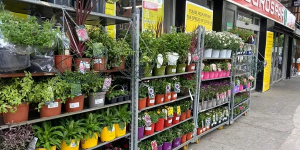 BWG Sees Spike In Sales Of Gardening Products