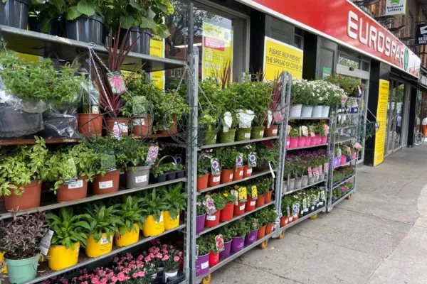 BWG Sees Spike In Sales Of Gardening Products