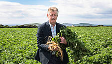 SuperValu Expects To Sell €2.5m Of New Potatoes, As 2020 Potato Sales Set To Hit €37m