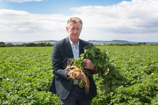 SuperValu Expects To Sell €2.5m Of New Potatoes, As 2020 Potato Sales Set To Hit €37m