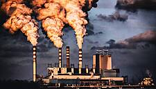 Unilever, Danone And Others Team Up To Combat Global Carbon Emissions