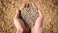 Pandemic A Wake-Up To World Leaders On Food Frailties, WFP Says