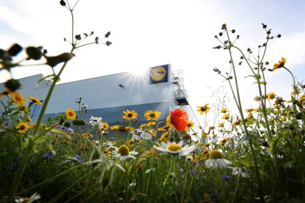 Lidl's Newbridge Regional Distribution Centre Achieves BREEAM Certification