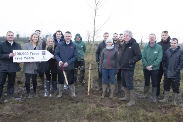 Aldi Staff Plant 16,000 Trees To Launch Woodland Initiative