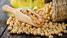 Soybeans Stay Weak On Coronavirus Demand Risks