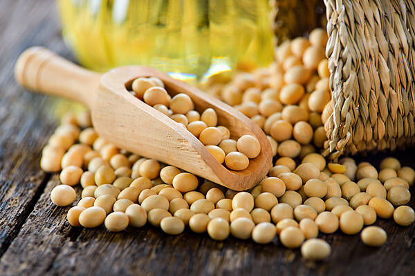 Soybean Futures Set Eight-Month Low As Coronavirus Worries Deepen