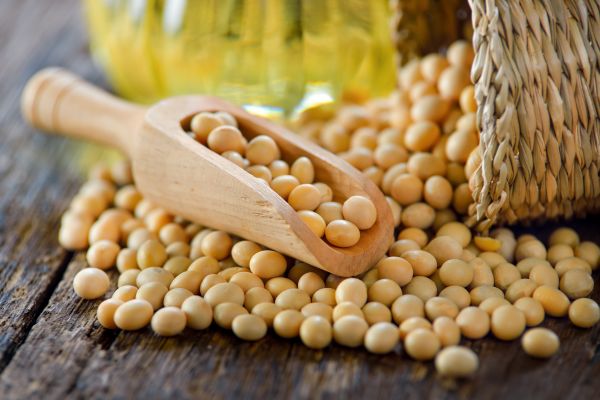 Soybeans Stay Weak On Coronavirus Demand Risks