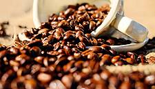 Global Coffee Supply Deficit Seen Up On Lower Brazil Output: Report