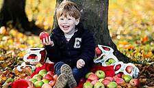 SuperValu Is First Irish Supermarket To Introduce Own Brand Compostable Grass Trays For Organic Apples