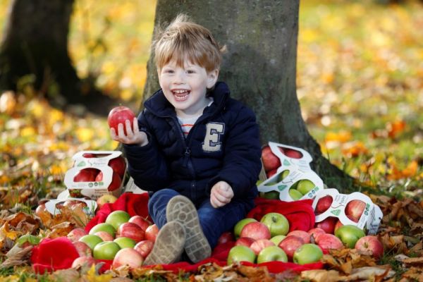 SuperValu Is First Irish Supermarket To Introduce Own Brand Compostable Grass Trays For Organic Apples