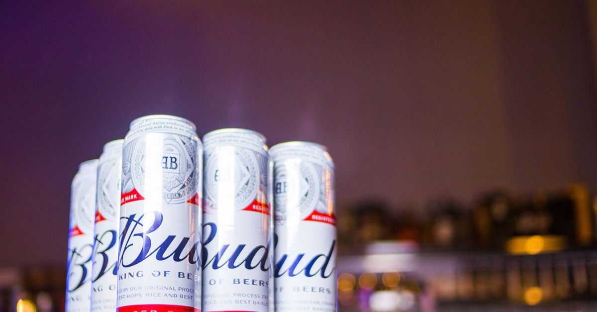 Budweiser looks to younger generation in Super Bowl ad