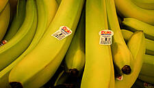 Dole Plc Files Paperwork For U.S. IPO