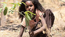 Plant Trees In Africa To Offset Your Carbon Footprint