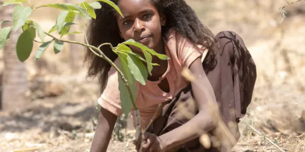 Plant Trees In Africa To Offset Your Carbon Footprint