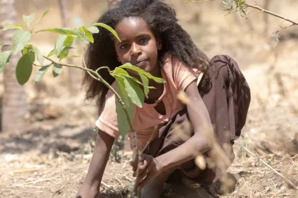 Plant Trees In Africa To Offset Your Carbon Footprint