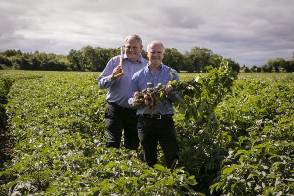 Tesco Ireland Trials Home-Recyclable Potato Packaging