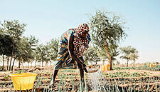 Kerry Group And Concern Worldwide Provide Update On Partnership In Niger