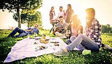 Picnics In The Park