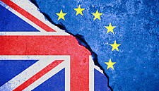Substantial Brexit Funding Needed In Budget 2022, Says Food Drink Ireland