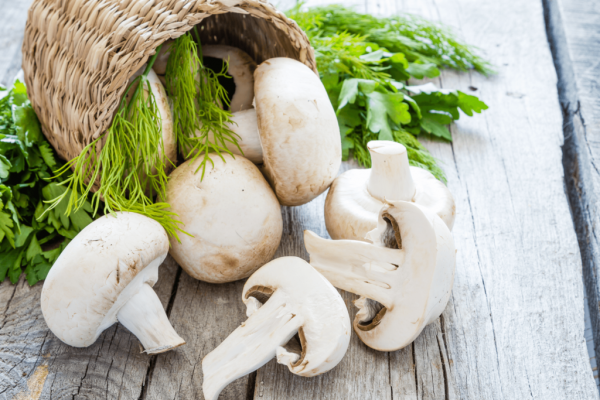 New Report Reveals Five Ways Mushrooms Will Play Role In Protecting Our Immunity In 2026