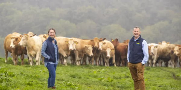 Dawn Meats Cuts Science-Based Target Emissions By 248,000 Tonnes In 2020