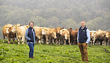 Dawn Meats Cuts Science-Based Target Emissions By 248,000 Tonnes In 2020