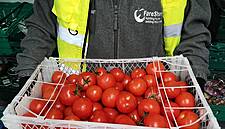 FareShare Set To Receive Food From Waitrose Distribution Centres