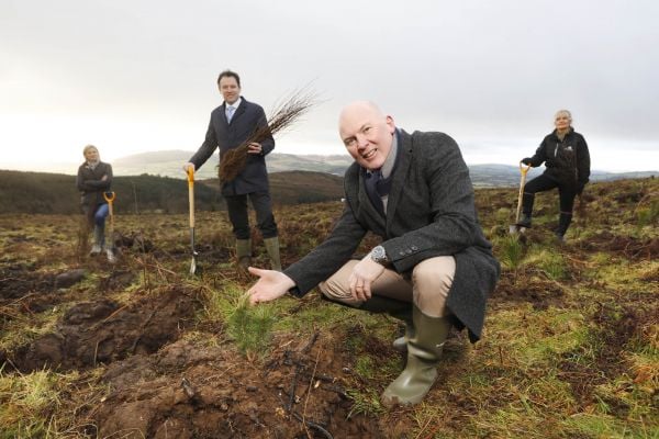 Aldi Ireland Commits To Planting 1m Native Irish Woodland Trees By 2025