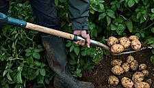 Late Night Breakthrough Brings EU Closer To Deal On Farm Subsidies