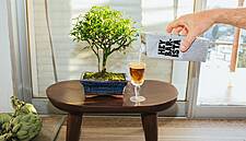 Oprah-backed Oatly Seeks $10bn Valuation In U.S. IPO
