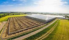 Aldi Aims To Sell Over 1,500 Tonnes of Irish-Grown Strawberries In 2021