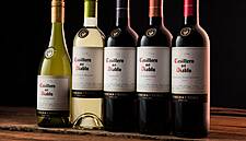 Casillero del Diablo Says It Creates 'Some Of The Most Consistent And Recognised Wines'