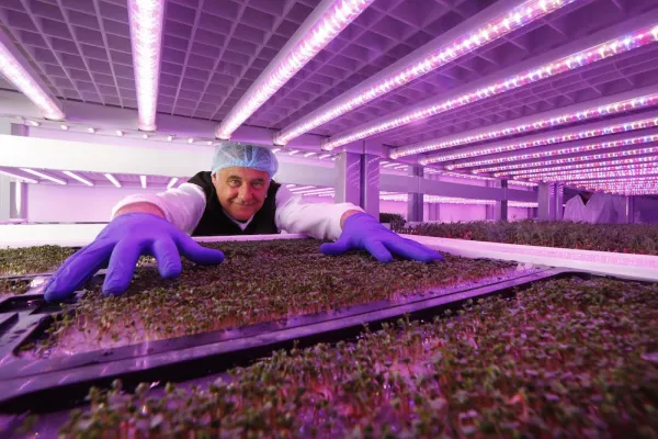 SuperValu Launches Ireland's First Hydroponically Grown Microgreen Mixes