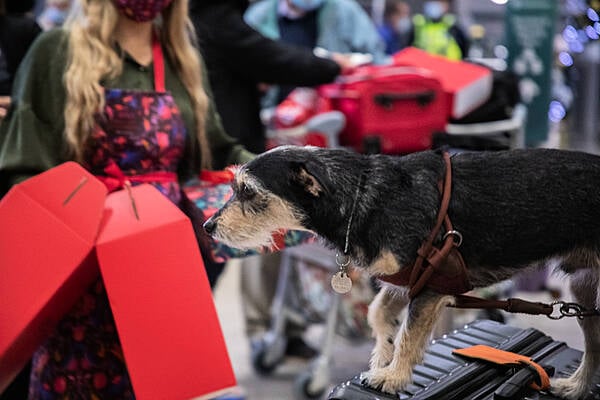 Avoca Teams Up With Dublin Airport To Welcome Home Passengers This Christmas